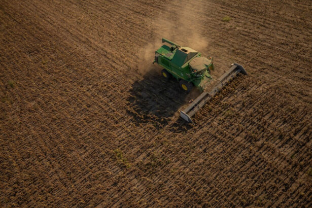 romania cere garantii suplimentare pentru fermieri in negocierile ue mercosur si viitoarea politica agricola comuna 6960d7b36963f