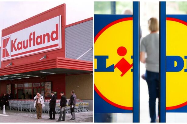 schwarz grupul german care detine lidl si kaufland a reinceput sa aduca bani in romania si a sustinut filialele cu 375 milioane de euro aport la capital 697134e8b94fd