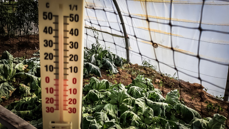 video lovitura primita de agricultori odata cu gerul care s a abatut peste romania costuri duble pentru incalzirea solariilor 696725c5dd00e