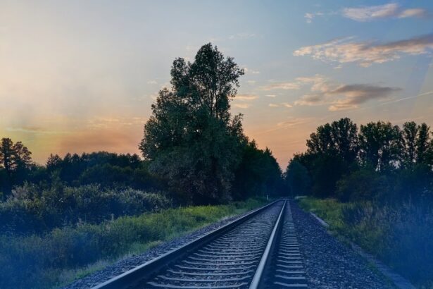 atentie calatori cfr sa inchide trei luni un tronson de cale ferata din vestul tarii pentru lucrari 699f3e8ccdb94