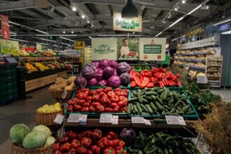 cat ii costa pe olandezii de la mega image sa puna legume romanesti pe rafturi cresterile de anul trecut sunt record 699f5890a8211