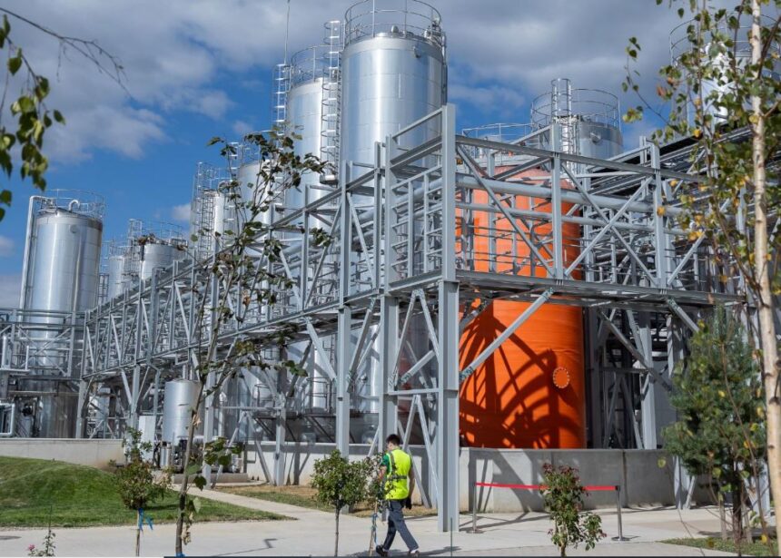 majorare puternica de capital a gigantului american pg in romania a adus peste 180 de milioane de lei la firmele sale din tara 698e372b4fa48