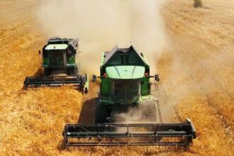 norofert cumpara un pachet majoritar de actiuni al producatorului de seminte expert agribusiness din fundulea 699c78989536c