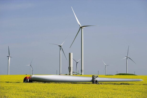 petrom reintra in acest an in business ul cu energie eoliana va avea primul sau parc eolian dupa noua ani de pauza 69864bd5022ed