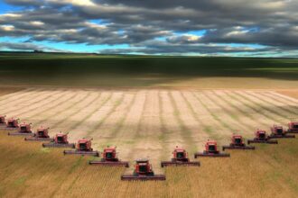 productie record pentru holde agri invest contextul de piata a ramas unul dificil in 2025 699d62f8bcd9b