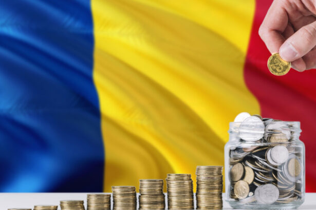romania a atras doar 4 investitori din afara ue in 2 ani prin vizele de lunga sedere senator pnl oferta noastra e un pic dificila 69846b77c19d9
