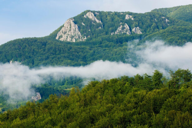 video zacaminte de minerale rare descoperite in apuseni o companie canadiana a gasit uraniu cobalt si nichel 69837a0b6d00b