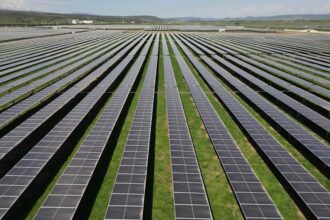 wien energy cel mai mare funizor de energie din austria a demarat proiectul unui nou parc fotovoltaic in ardeal 699224c4f0b8f