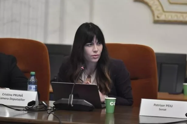 cristina pruna guvernul intervine in piata in loc sa reduca accizele si tva 69c408b4ee015