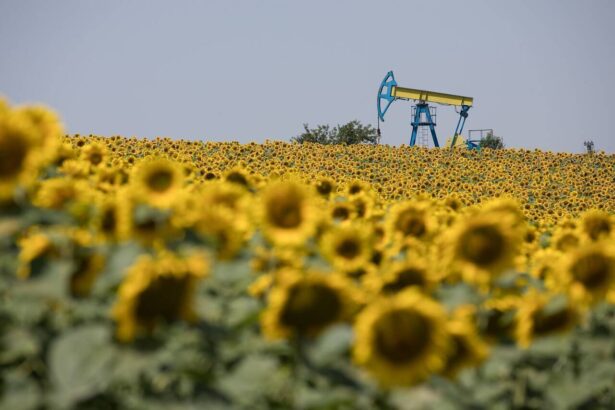 fond de solidaritate alimentat din taxe noi puse companiilor petroliere ultima idee a guvernului 69cac96e544cf