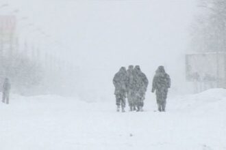 omniasig a avizat in ultimele zile 88 de dosare de dauna din cauza viscolului a ninsorilor abundente si a topirii rapide a zapezii 69be7163004e1