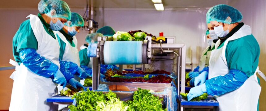 peste 120 de milioane de lei din salata eisberg liderul pietei de salate gata de consum creste si in 2025 69b9622846397