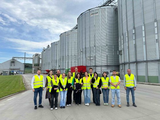 porcul romanesc devine tot mai mic pe piata tara noastra importa 80 din necesarul de carne de porc studiu 69aefb806f185