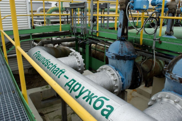 ucraina nu recunoaste delegatia trimisa de ungaria pentru a inspecta conducta drujba au venit ca turisti 69b1a9d4e45d2