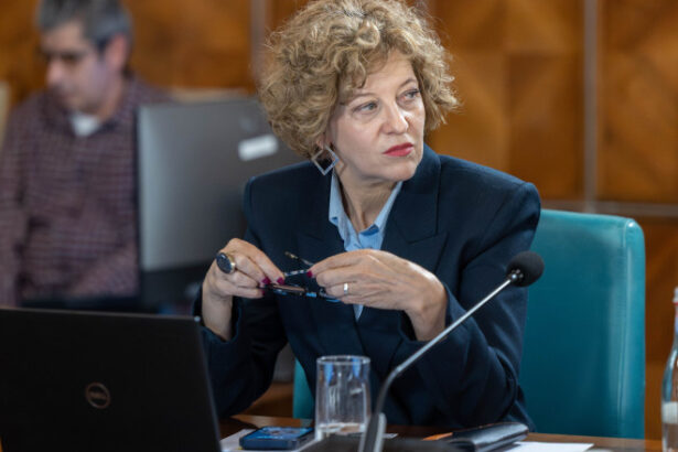 video psd acuza guvernul ca vrea sa vanda ce mai avem prin casa vicepremierul oana gheorghiu listarea la bursa aduce bani 69e1dff048209