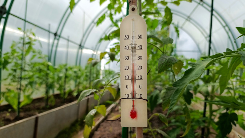 video rasadurile in pericol din cauza diferentelor mari de temperatura de la zi la noapte cum incearca legumicultorii sa salveze productia 69e08049ebc25