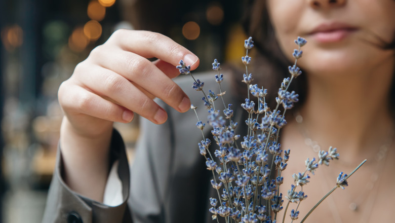 video afaceri profitabile cu miros si aroma de lavanda cum a reusit planta decorativa sa devina astazi ingredient in prajituri si cosmetice 6a00a9f1de755